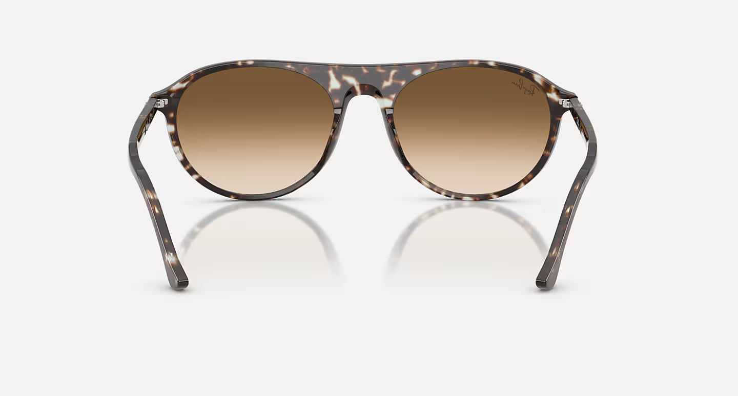 RAYBAN - Polished Havana Yellow Turtle W/Clear Gradient Brown