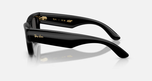 RAYBAN x Asap Rocky Wayfarer Puffer- BLACK
