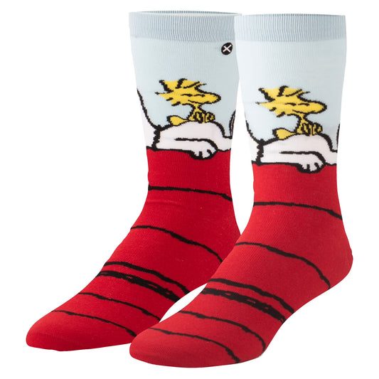 ODD SOCKS PEANUTS