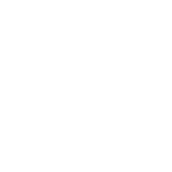 Strong Island Outlet